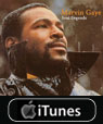 marvin gaye